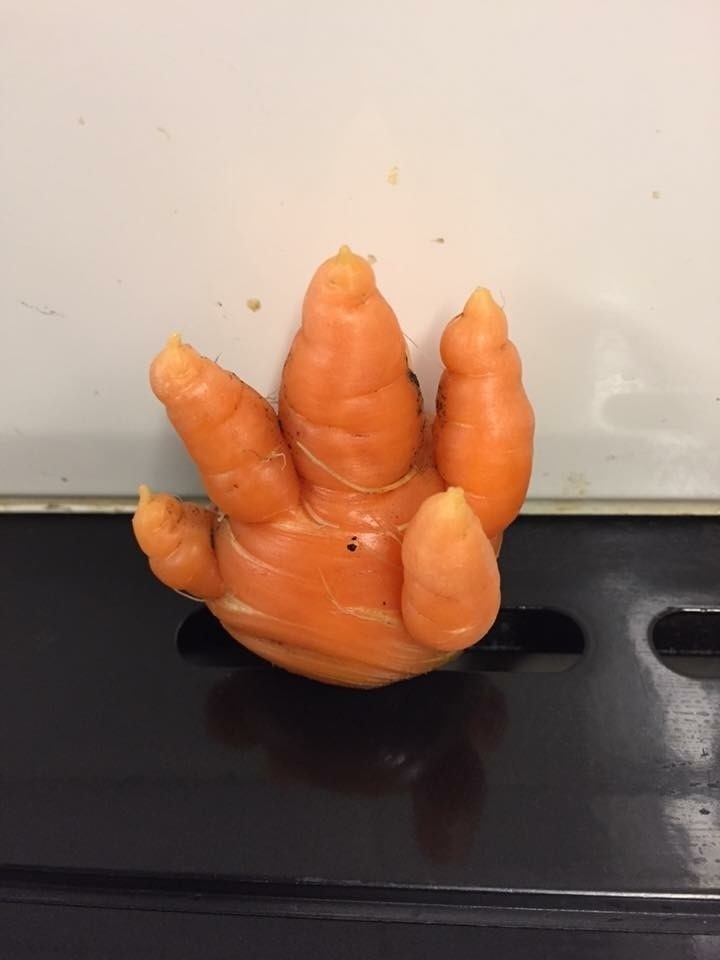 This carrot just wants to give you a hand.