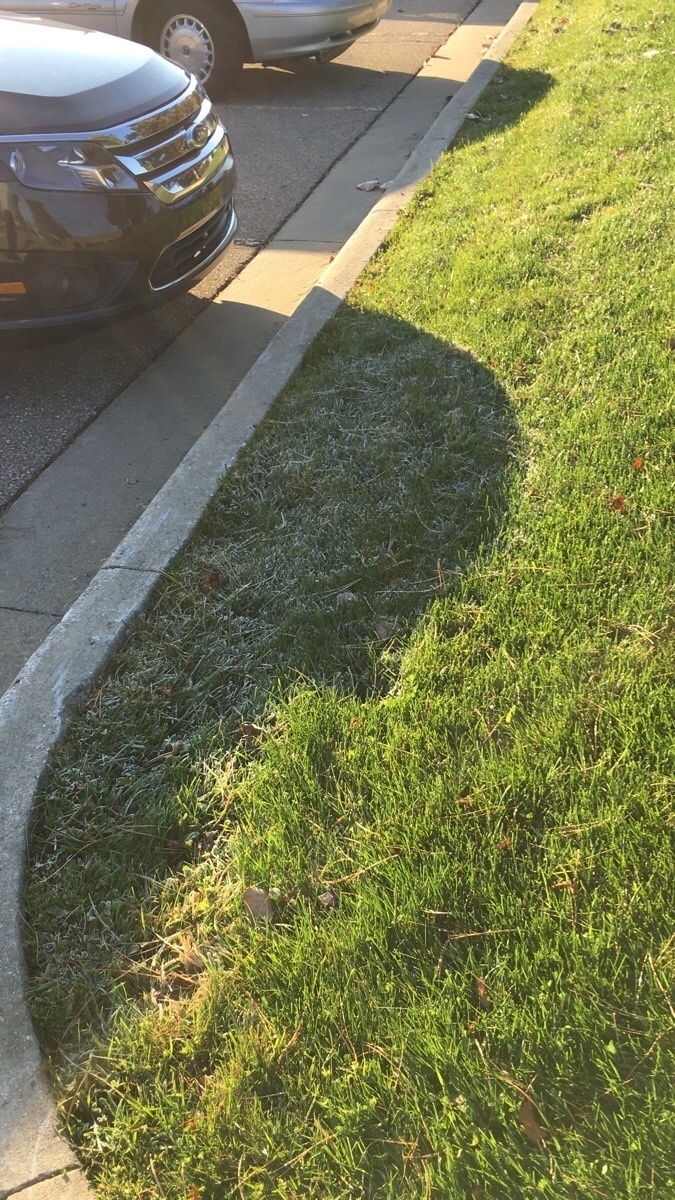 This car's shadow kept the frost from melting on the ground.