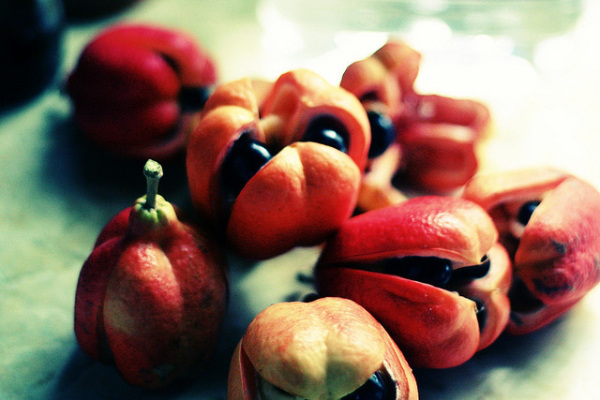 Ackee
Ackee is a member of the Sapindaceae (soapberry family) and is native to tropical West Africa. This fruit is fine to eat, but first make sure it is ripe and avoid the black seeds unless you want Jamaican vomiting sickness.