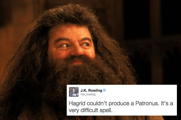 We never learned what Hagrid's Patronus would be, because he couldn't produce one.