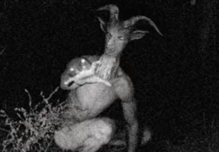 UNILADs Internet Loses Its Mind Over Alleged Sightings Of Goatman image