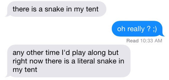 Literal snakes: