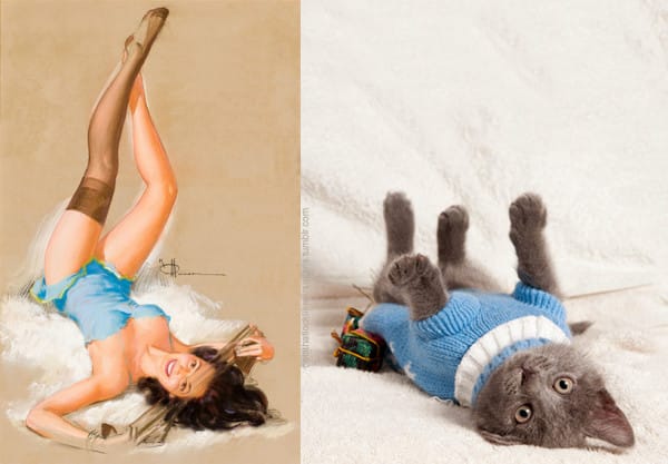 Cats that look like pinup dolls