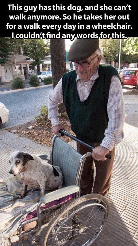 Every time this old man and his dog went out: