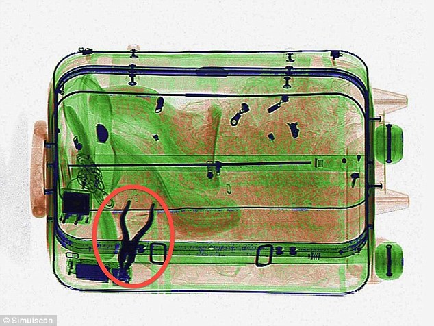 Pliers over seven inches in length aren't allowed in hand luggage
