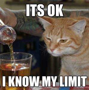 drunk-cat-meme-298x300