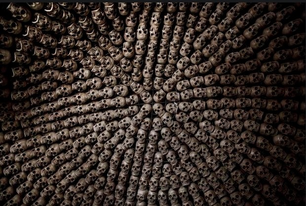 Looks like someone has a huge organized collection of skulls. 