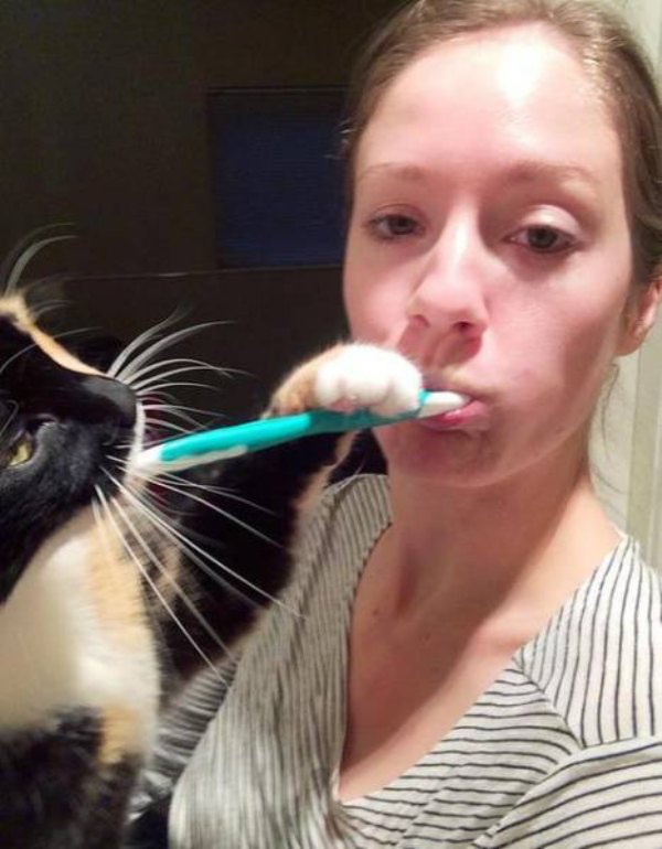 animals that dont suck 36 photos 32 Most memorable animals of 2015 (71 Photos)