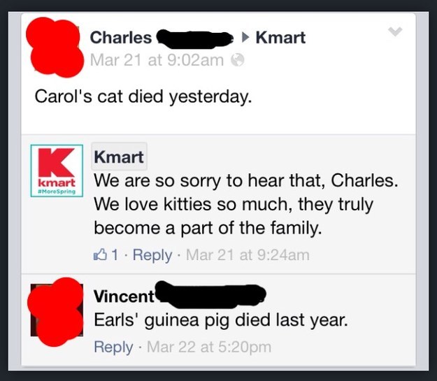 The sad fate of Earl's pig: