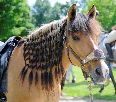 The type of braids you only see in your dreams. 