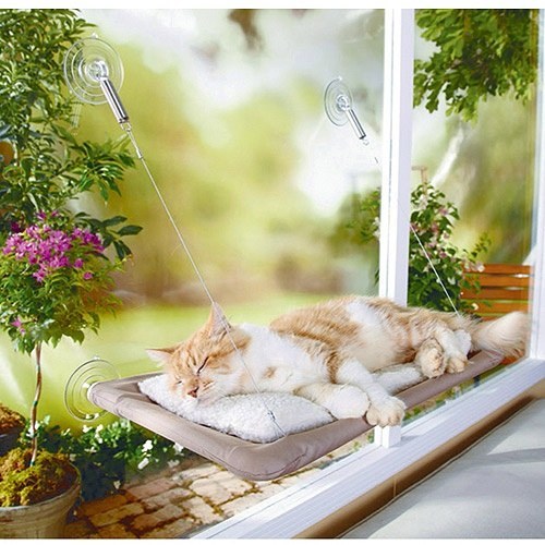 This window bed for the cat that wants to soak up the sun.
