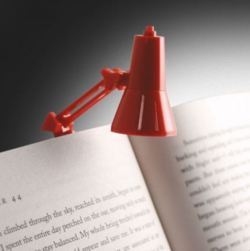A petite lamp to help you read at night.