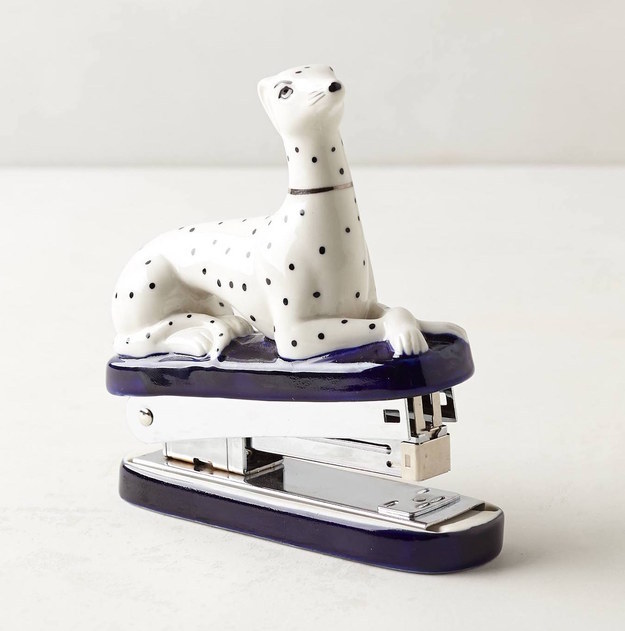 A Dalmatian who loves to staple things.