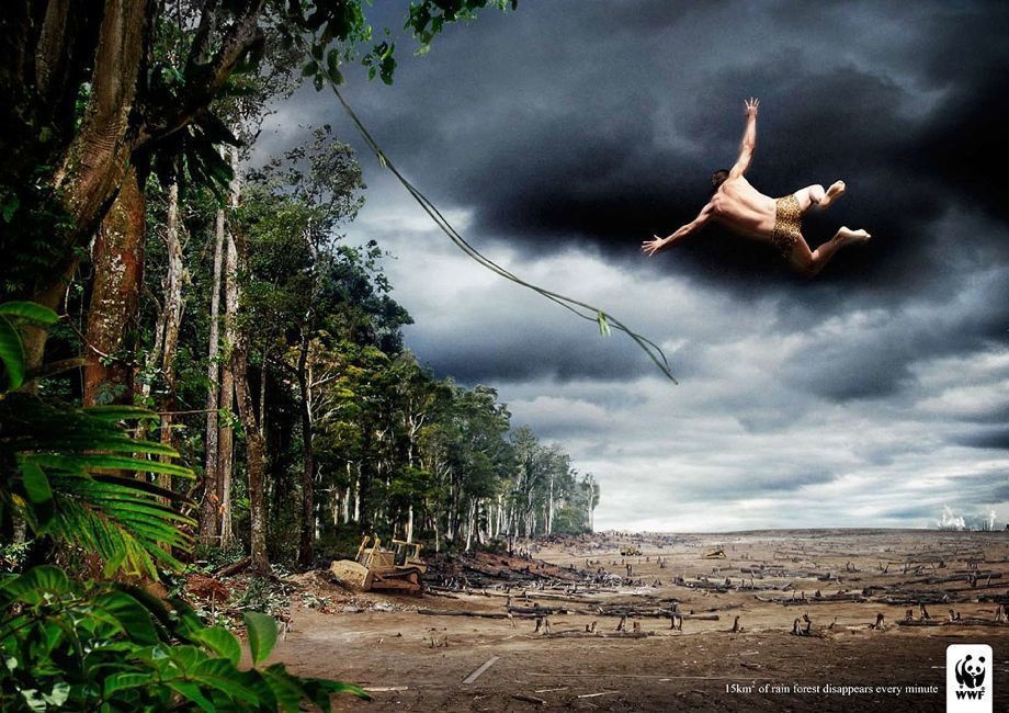 Even when we know the sad reality of diminishing rain forests, it's different when you see it.