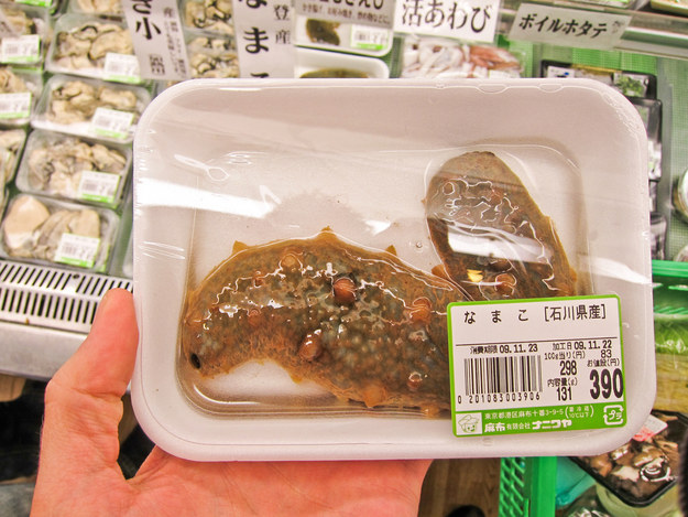 Still a seafood fad? Pick up some namako – succulent sea slug.