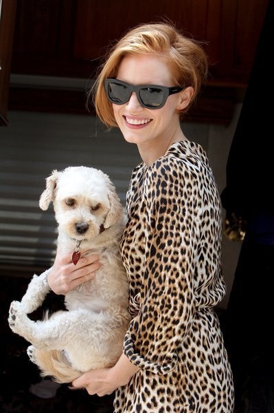  The lovely and talented Jessica Chastain has a three-legged rescue named Chaplin. 