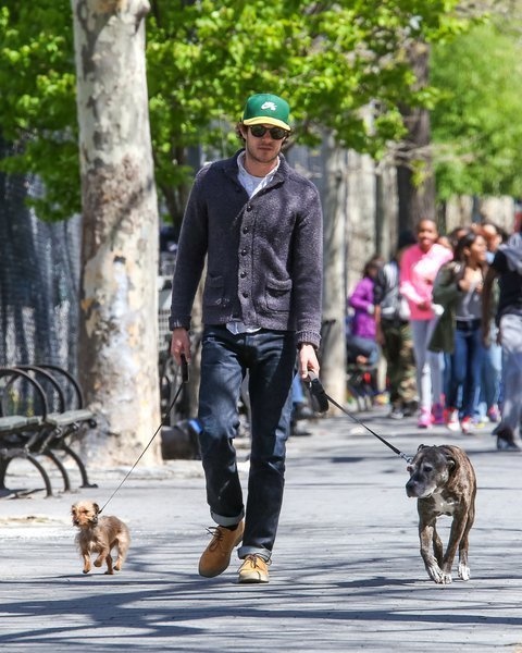 Husband and wife Adam Brody and Leighton Meester share two dogs, Trudy and Penny Lane.
