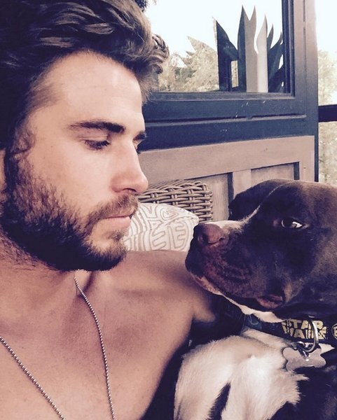 Liam Hemsworth captioned this Instagram photo: "True love."