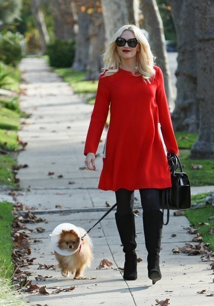 Despite her busy schedule, Gwen Stefani still makes time to walk Chewy the Pomeranian.