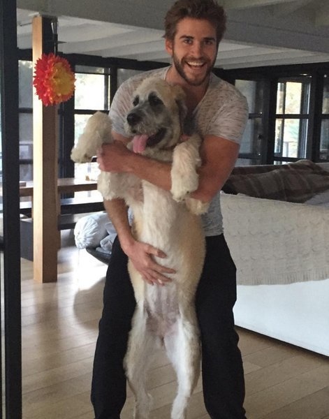 Hemsworth's ex, Miley Cyrus, reportedly helped him adopt Dora the rescue pup!