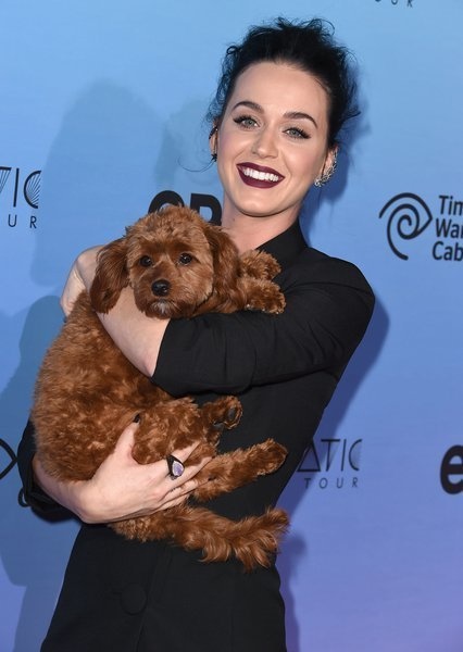 Butters makes one darling mascot for Katy Perry's Prismatic World Tour at The Ace Hotel Theater in Los Angeles.
