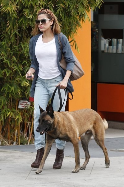 Here's Eva Mendes walking her Belgian Malinois, Hugo, in West Hollywood.
