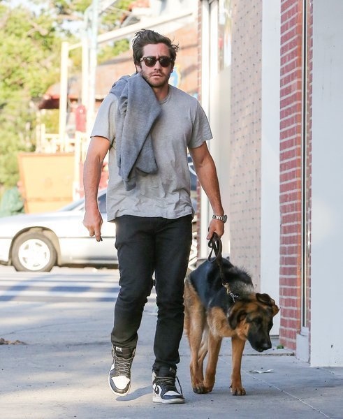 Photos of Jake Gyllenhaal holding his dog Puggle have gone viral, but here he is with Atticus on a regular stroll.