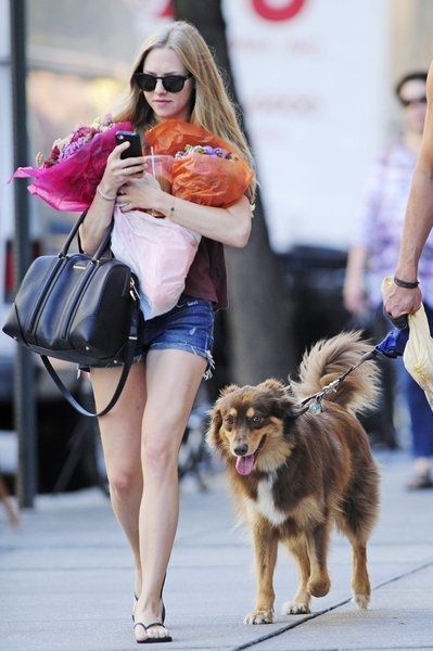 Amanda Seyfried with Finn while out picking up flowers in the city. Don't you just love his white patch?