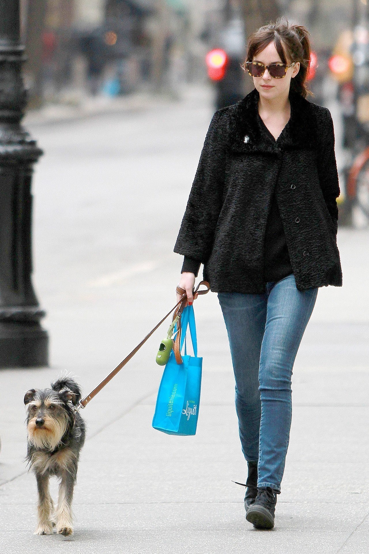  Dakota Johnson and her handsome dog Zeppelin just went shopping at Liqueteria in New York. 