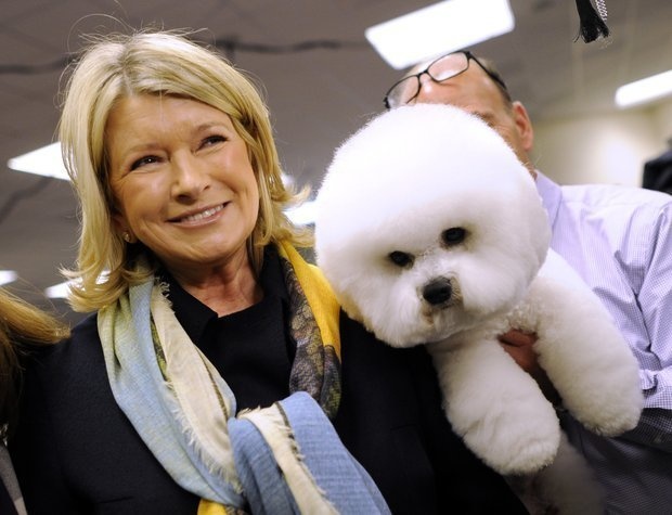 Martha Stewart's face lit up as she stopped to look at a Bichon Frise at an annual dog show in New York.