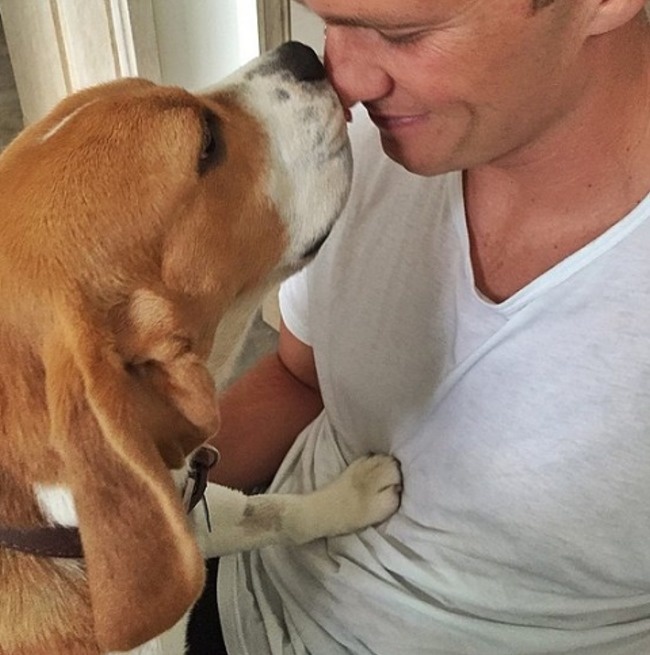 Tom Brady gettin' some love from Scooby, a pit bull mix.