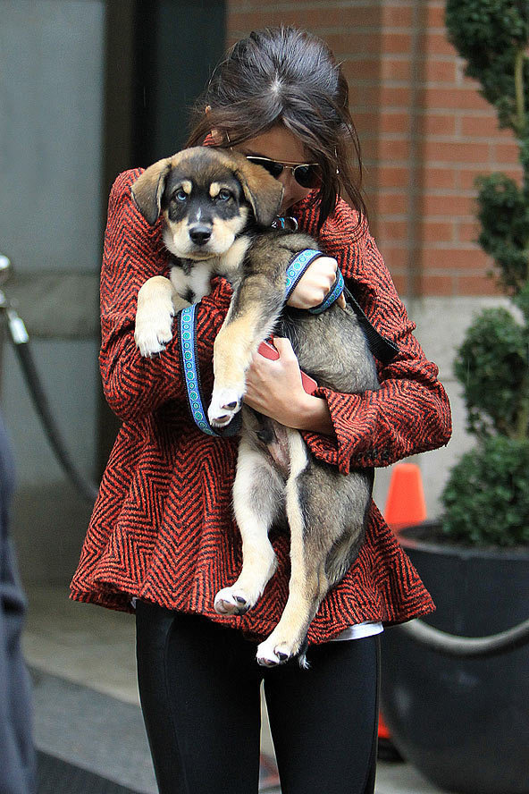 Selena Gomez just cannot keep her hands to herself, and with a pooch like that, we wouldn't be able to either!