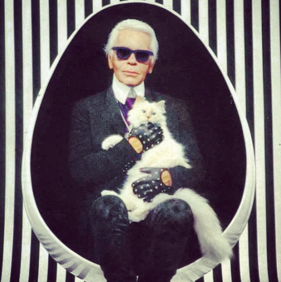 Iconic fashion designer Karl Lagerfeld has fallen in love with his cat Choupette. She was a gift from French male model Baptiste Giabiconi.