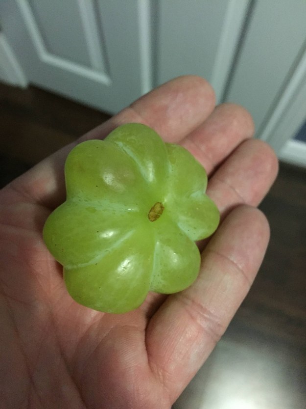 These eight grapes that fused into one.
