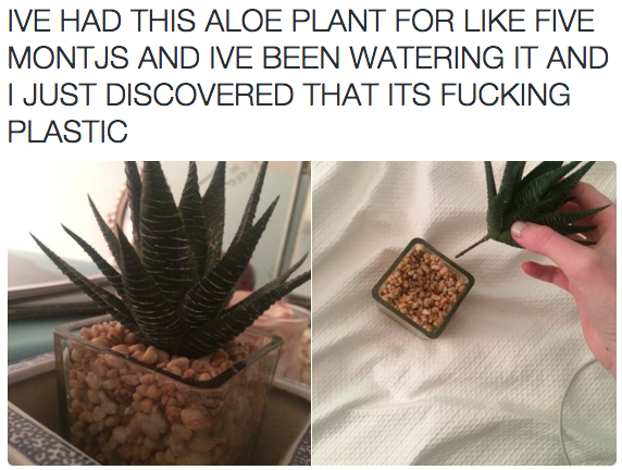 Plant tragedies: