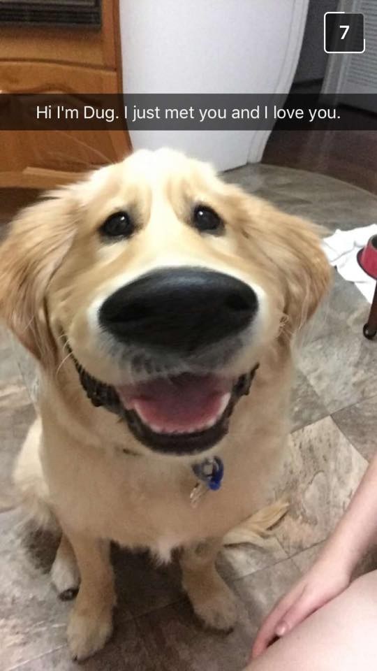 There's a new Snapchat filter that makes dogs look exactly like Dug.