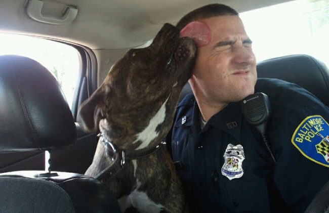 This police officer responded to a "vicious dog" call...and adopted the pup.