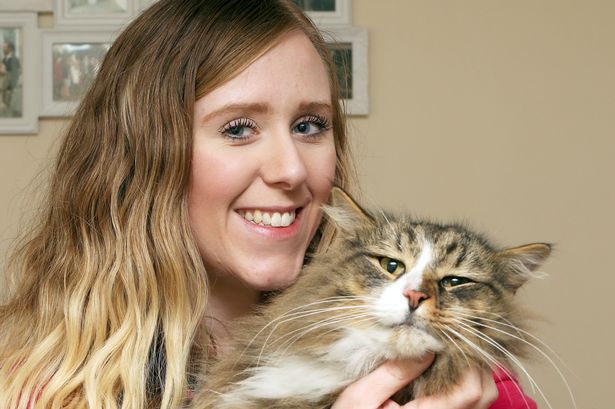 Clive the Norwegian Forest Cat, who went missing 14 months ago, has be found at pet food factory Kennelgate. Pictured - Clive with owner Tanya Irons