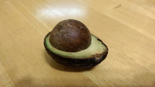 Look at this terrible excuse for an avocado.