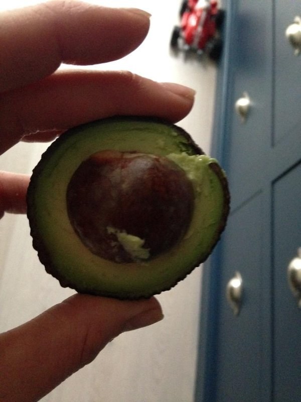 Avocados can be just the most frustrating thing.