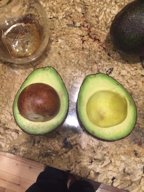 You could have a perfect looking avocado, the sort of avocado that you pick up and look around at all the people who could never have picked an avocado as good as you, but when you open it, it just reveals the depths of your hubris.