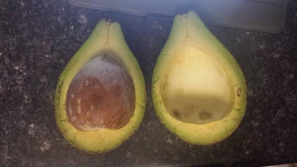 When it comes down to it, that's all avocados are – a shell holding our most basic hopes, threatening to reveal them to be worthy, or to reveal them to be naught.