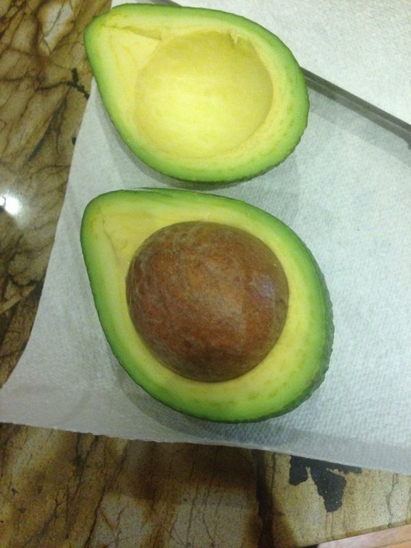 And always eager for more avocado.