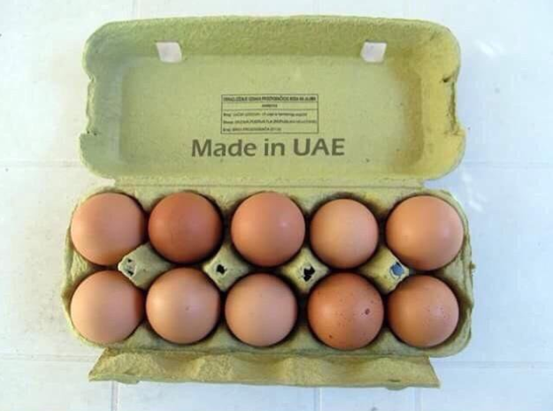 Malaysia — a dozen eggs
