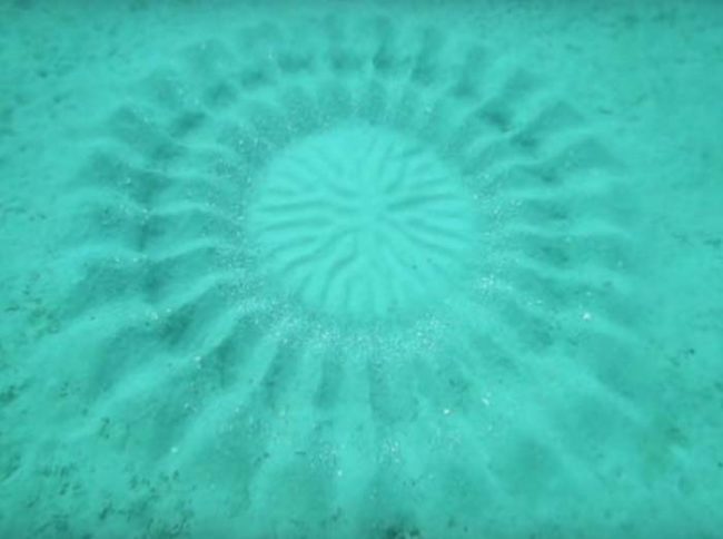 Take this beautiful, odd-looking geometric pattern on the ocean floor, for example. It was found off the coast of Japan&rsquo;s Amami-&#332;shima Island.