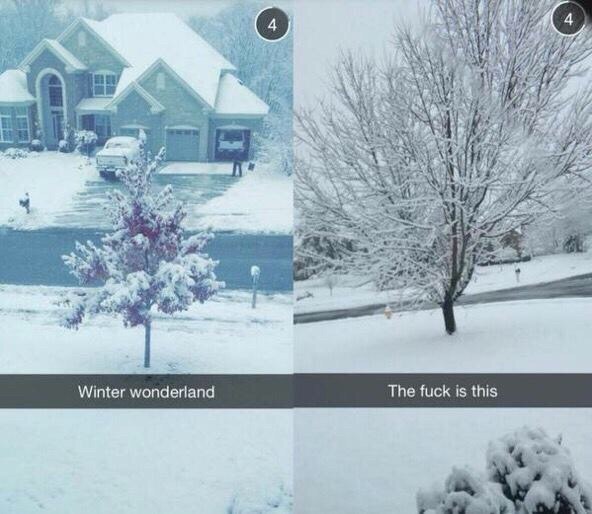 There are two types of reactions to fresh snow.