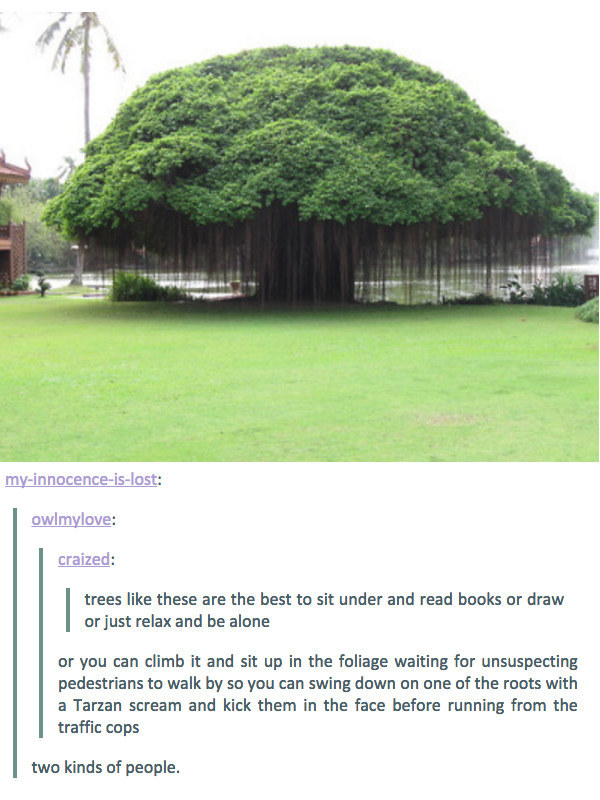 There are two things you could do with this tree.