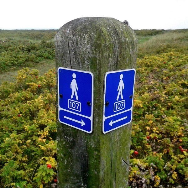 This signpost.