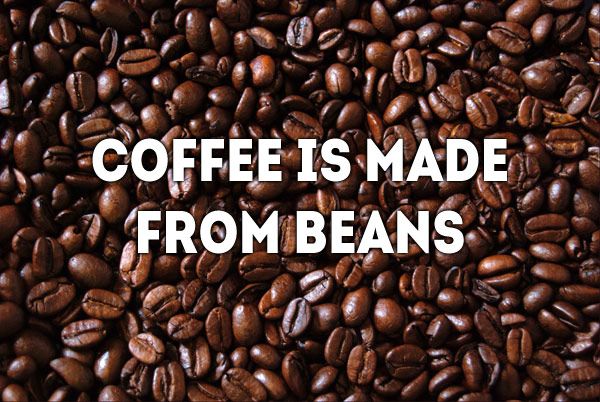 Coffee is made from seeds. Coffee “beans” are, in fact, the seeds of the fruit borne by the coffee plant