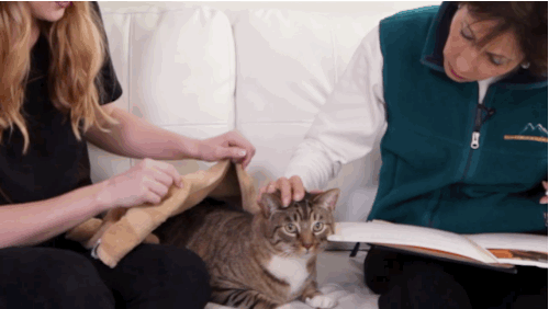 These People And Their Pets Met With A Pet Psychic For The First Time And It Blew Their Minds